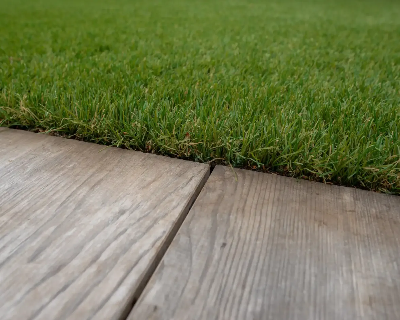 Groot dakterras middenin het groen Leersum