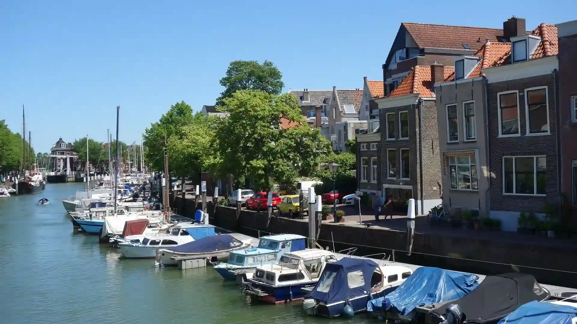 dakterras-aanleggen-dordrecht